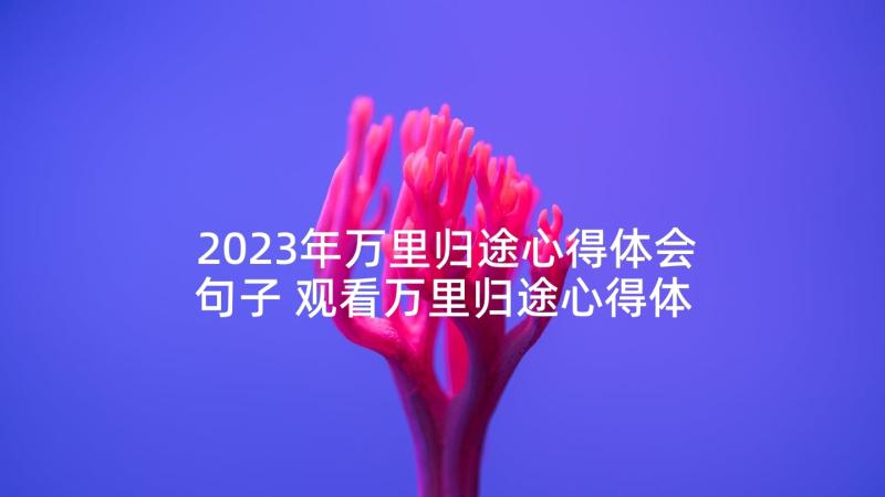 2023年万里归途心得体会句子 观看万里归途心得体会(通用5篇)