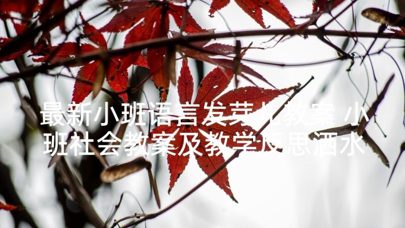 最新小班语言发芽儿教案 小班社会教案及教学反思洒水车(汇总5篇)