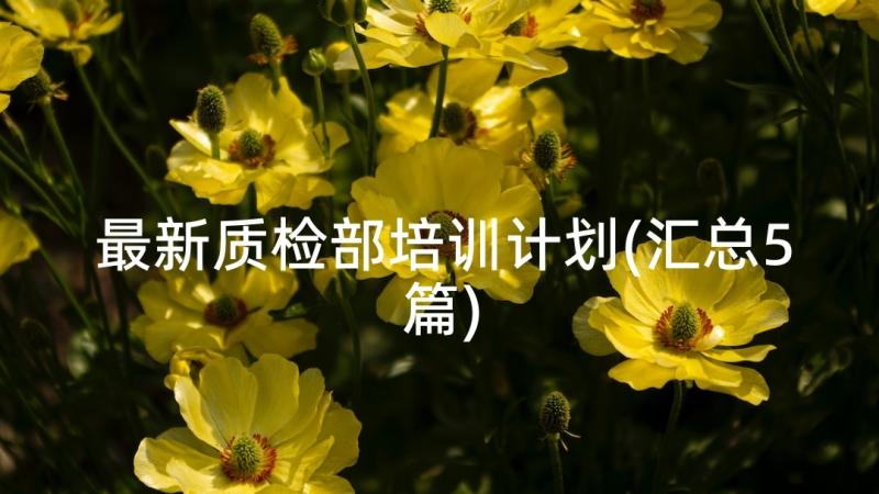 最新质检部培训计划(汇总5篇)