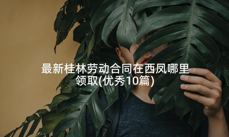 最新桂林劳动合同在西凤哪里领取(优秀10篇)