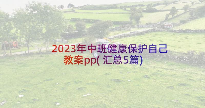 2023年中班健康保护自己教案pp(汇总5篇)