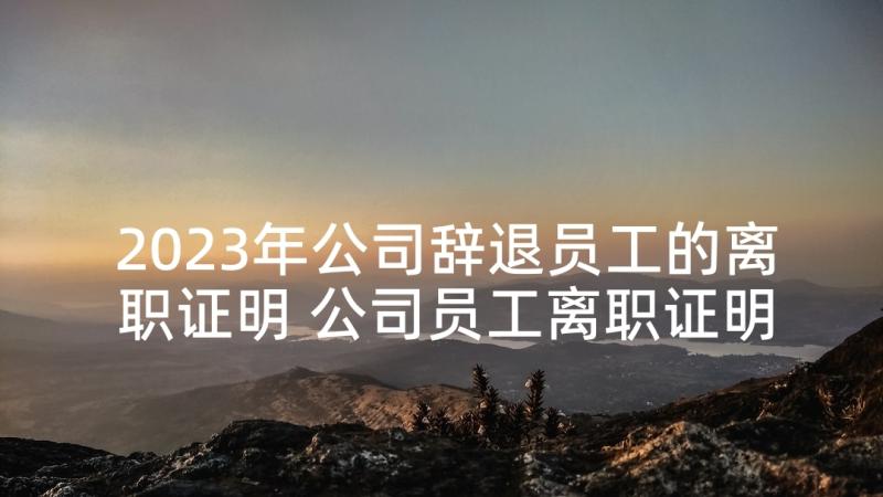 2023年公司辞退员工的离职证明 公司员工离职证明(优秀6篇)