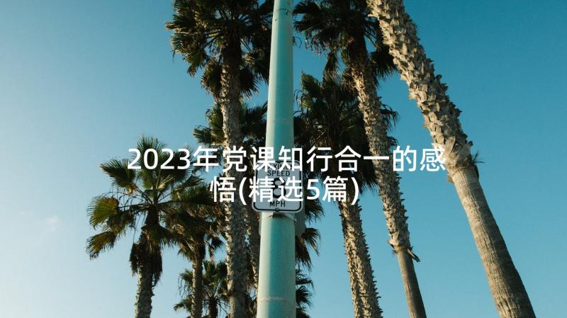 2023年党课知行合一的感悟(精选5篇)