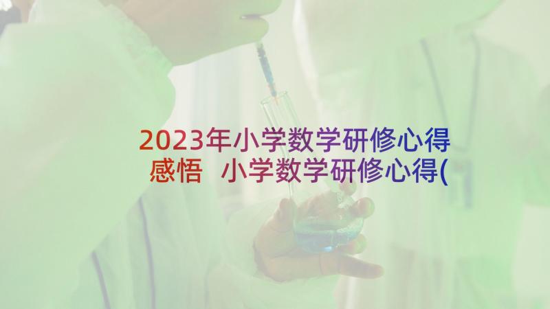 2023年小学数学研修心得感悟 小学数学研修心得(汇总7篇)