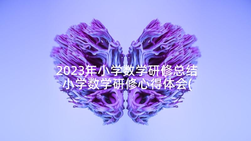 2023年小学数学研修总结 小学数学研修心得体会(优质6篇)