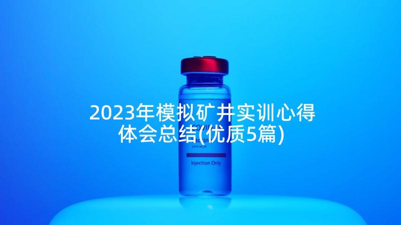 2023年模拟矿井实训心得体会总结(优质5篇)