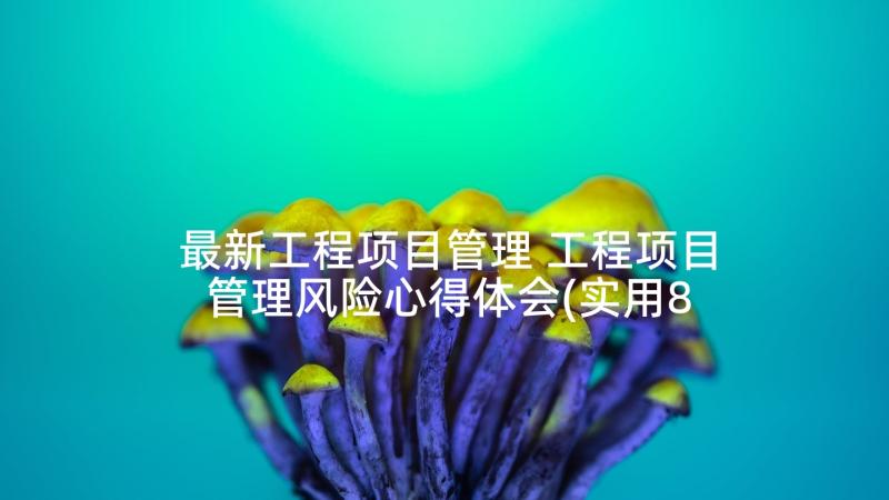 最新工程项目管理 工程项目管理风险心得体会(实用8篇)