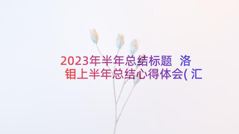 2023年半年总结标题 洛钼上半年总结心得体会(汇总5篇)