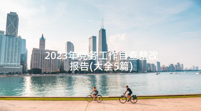 2023年党务工作自查整改报告(大全5篇)