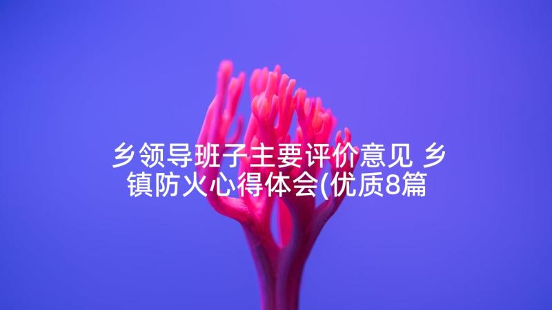 乡领导班子主要评价意见 乡镇防火心得体会(优质8篇)