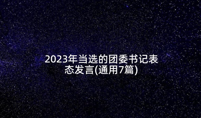 2023年当选的团委书记表态发言(通用7篇)