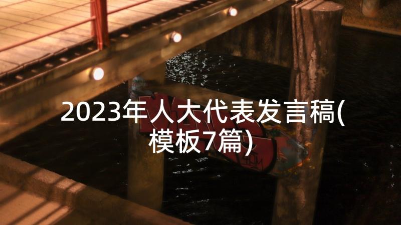 2023年人大代表发言稿(模板7篇)