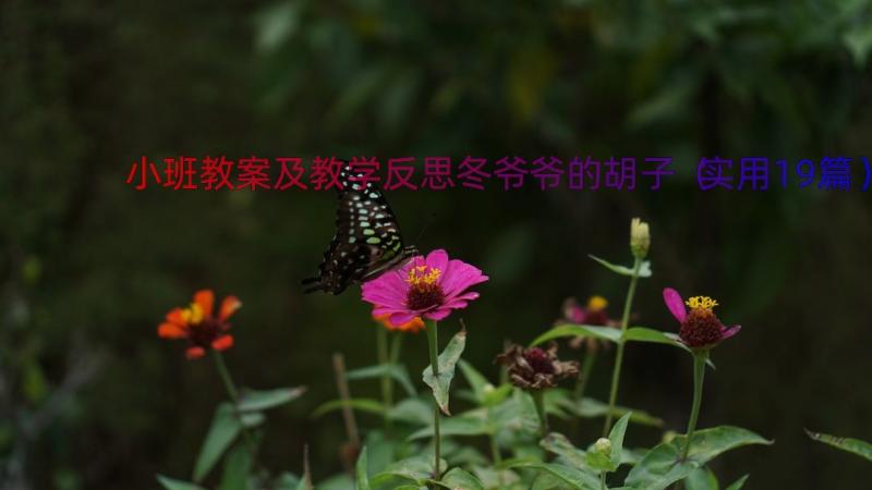 小班教案及教学反思冬爷爷的胡子（实用19篇）