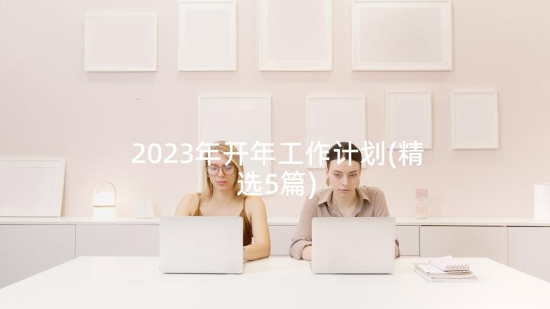 2023年开年工作计划(精选5篇)