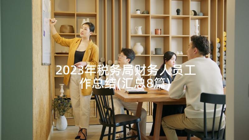 2023年税务局财务人员工作总结(汇总8篇)