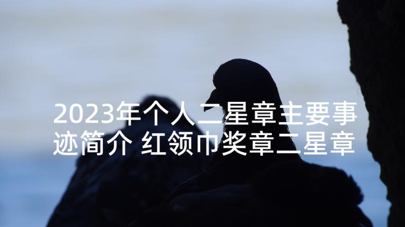 2023年个人二星章主要事迹简介 红领巾奖章二星章个人主要事迹简介(优质6篇)