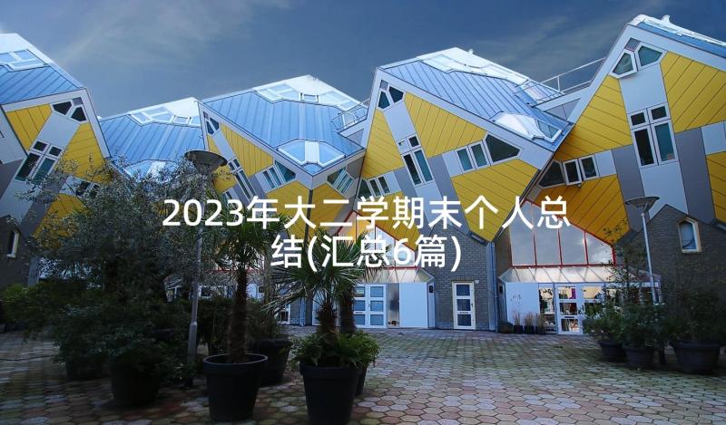 2023年大二学期末个人总结(汇总6篇)