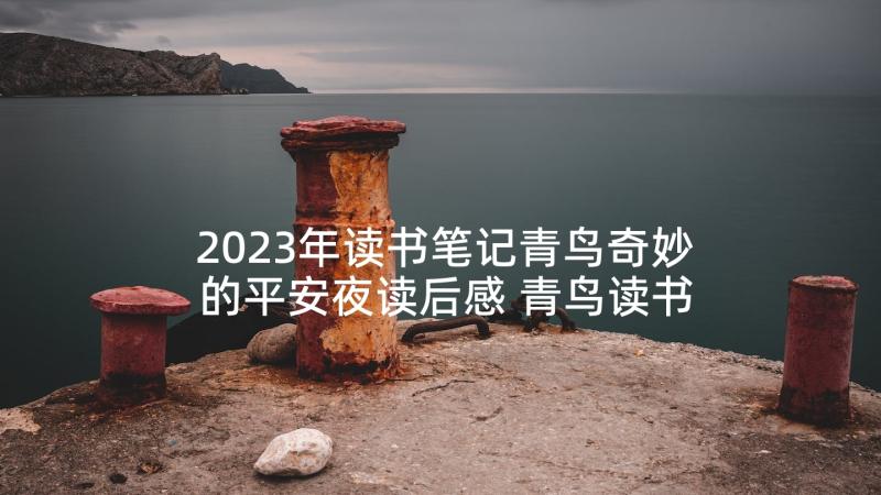 2023年读书笔记青鸟奇妙的平安夜读后感 青鸟读书笔记(优秀8篇)