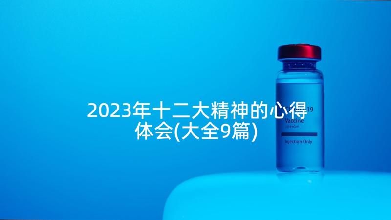 2023年十二大精神的心得体会(大全9篇)