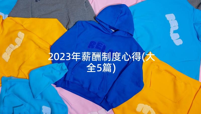 2023年薪酬制度心得(大全5篇)