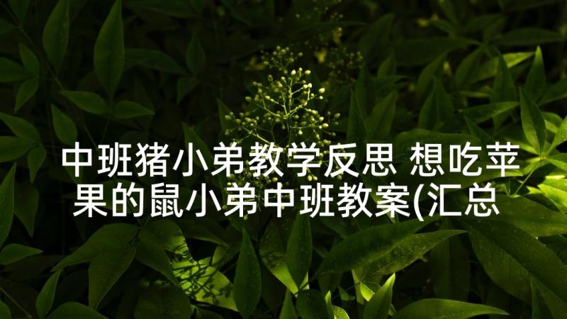 中班猪小弟教学反思 想吃苹果的鼠小弟中班教案(汇总5篇)