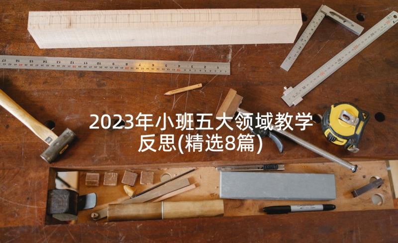 2023年小班五大领域教学反思(精选8篇)