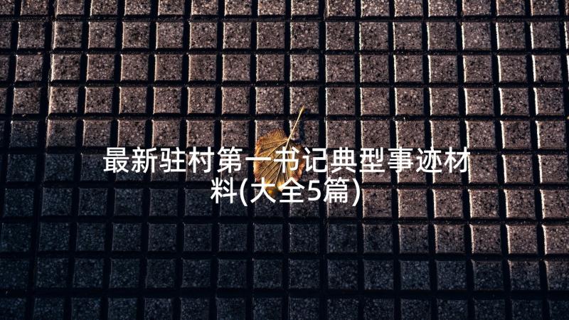 最新驻村第一书记典型事迹材料(大全5篇)