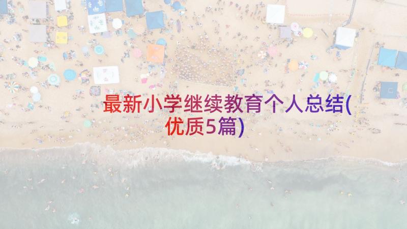 最新小学继续教育个人总结(优质5篇)