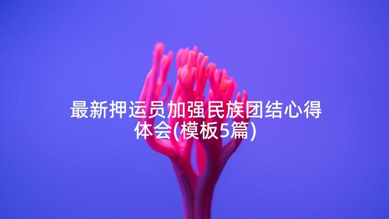 最新押运员加强民族团结心得体会(模板5篇)