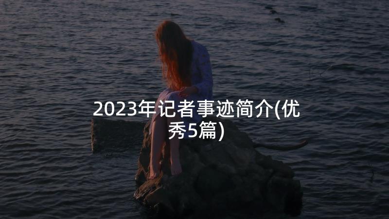 2023年记者事迹简介(优秀5篇)