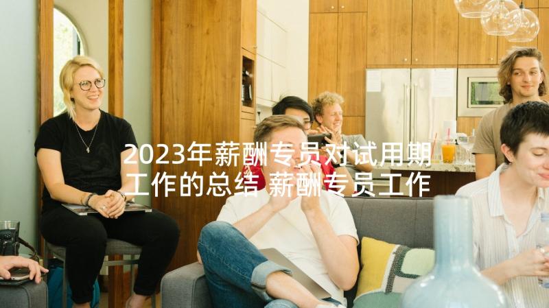 2023年薪酬专员对试用期工作的总结 薪酬专员工作总结(实用8篇)