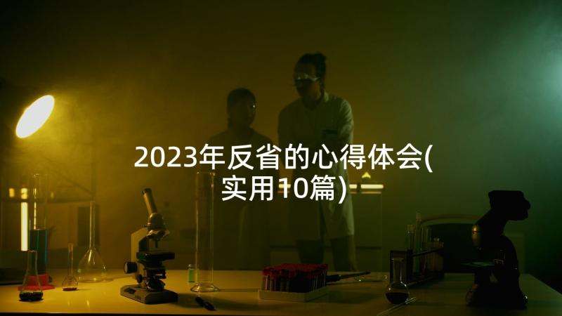 2023年反省的心得体会(实用10篇)