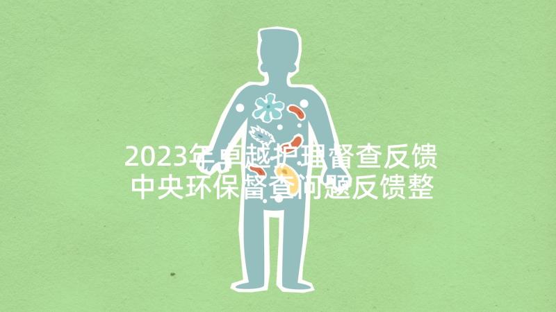 2023年卓越护理督查反馈 中央环保督查问题反馈整改工作汇报(大全5篇)