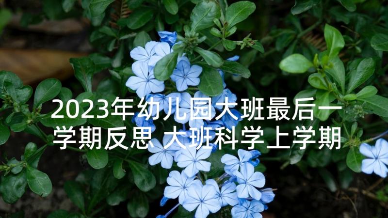 2023年幼儿园大班最后一学期反思 大班科学上学期教案及教学反思声音的秘密(汇总8篇)