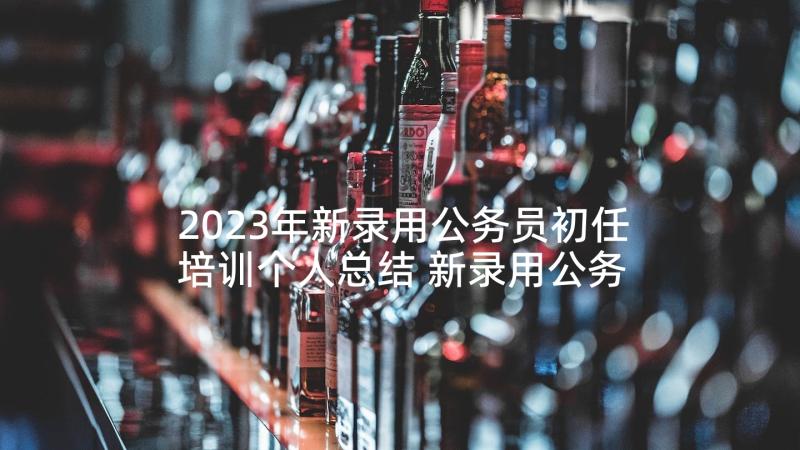 2023年新录用公务员初任培训个人总结 新录用公务员初任培训总结(模板5篇)