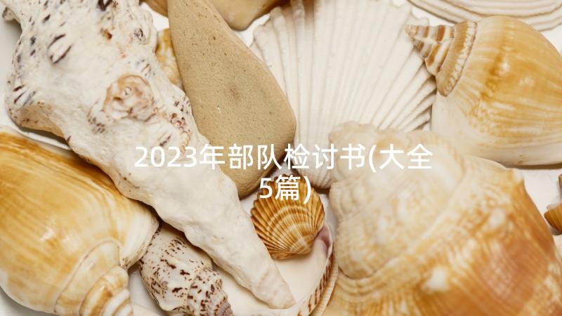 2023年部队检讨书(大全5篇)