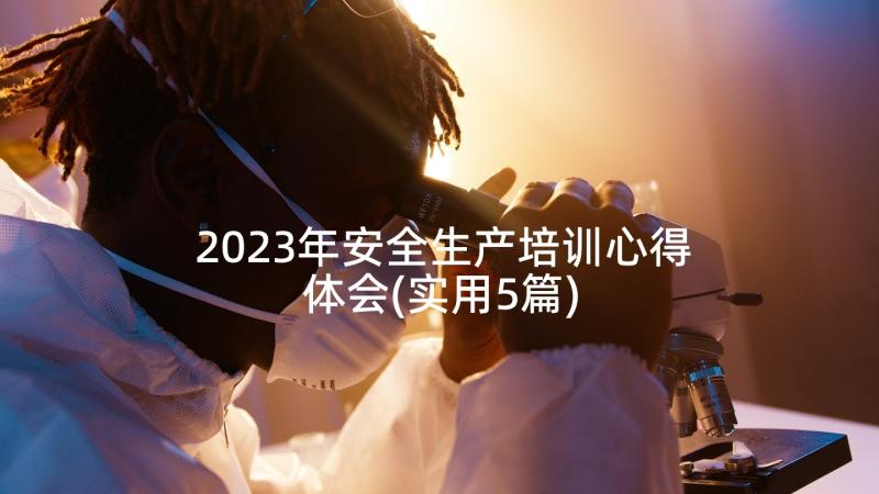 2023年安全生产培训心得体会(实用5篇)