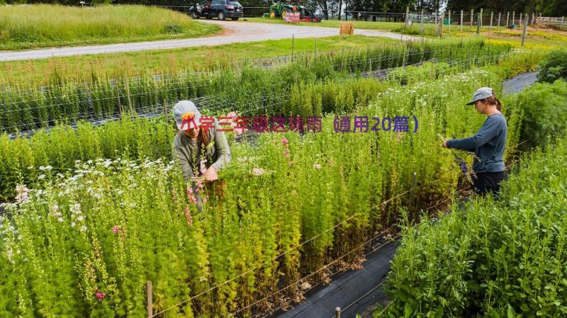 小学三年级这场雨（通用20篇）