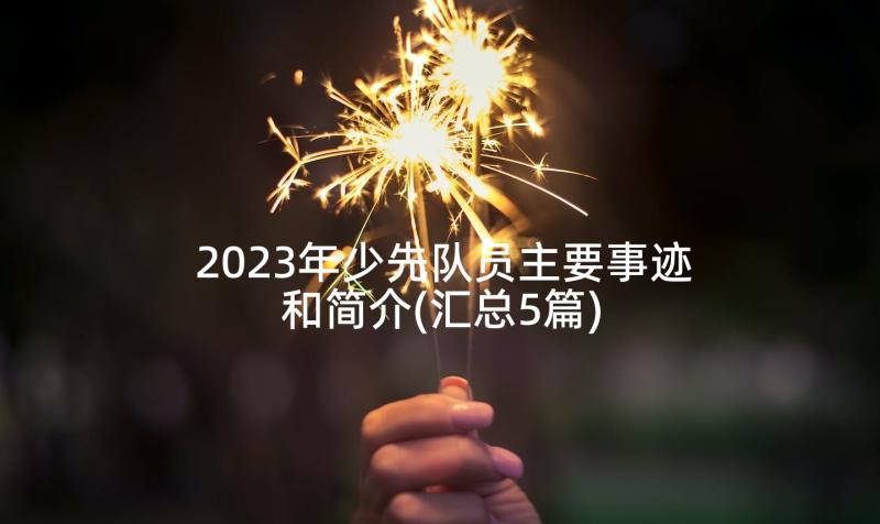 2023年少先队员主要事迹和简介(汇总5篇)