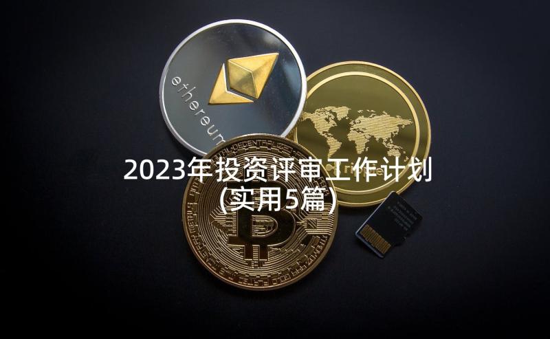 2023年投资评审工作计划(实用5篇)