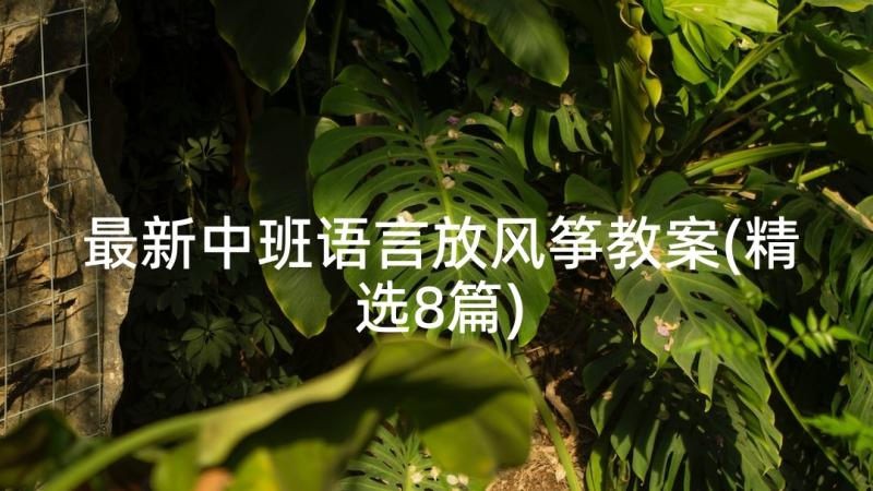 最新中班语言放风筝教案(精选8篇)