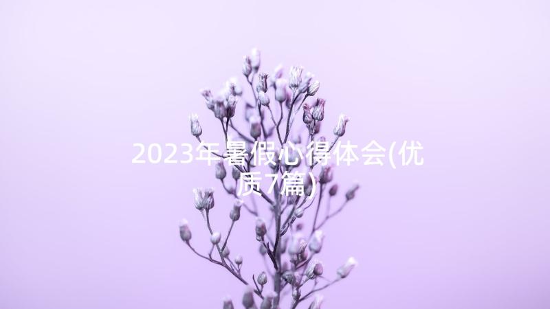 2023年暑假心得体会(优质7篇)