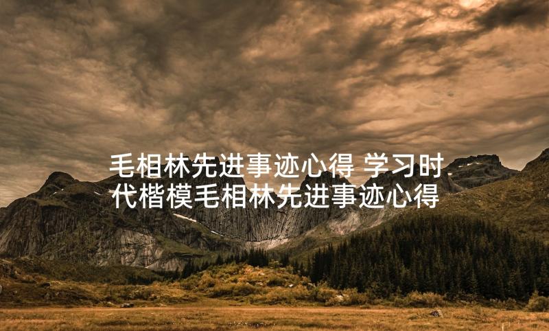 毛相林先进事迹心得 学习时代楷模毛相林先进事迹心得体会(优秀5篇)