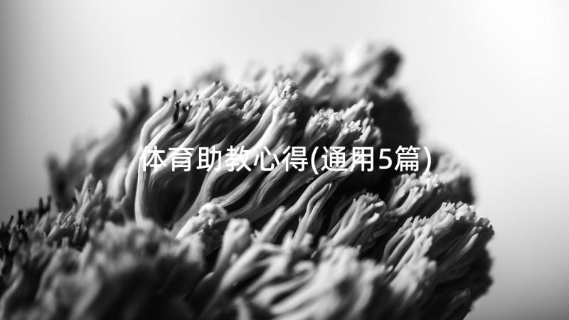 体育助教心得(通用5篇)