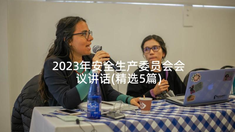 2023年安全生产委员会会议讲话(精选5篇)