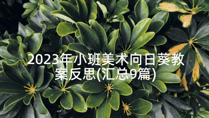 2023年小班美术向日葵教案反思(汇总9篇)