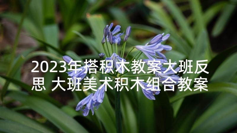 2023年搭积木教案大班反思 大班美术积木组合教案(精选5篇)