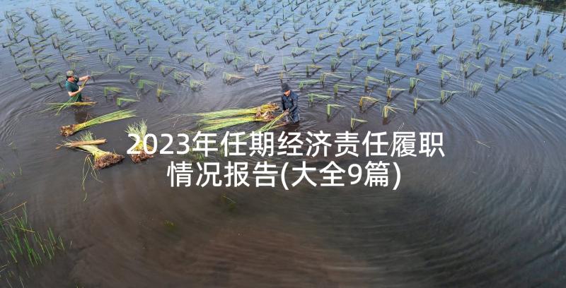 2023年任期经济责任履职情况报告(大全9篇)