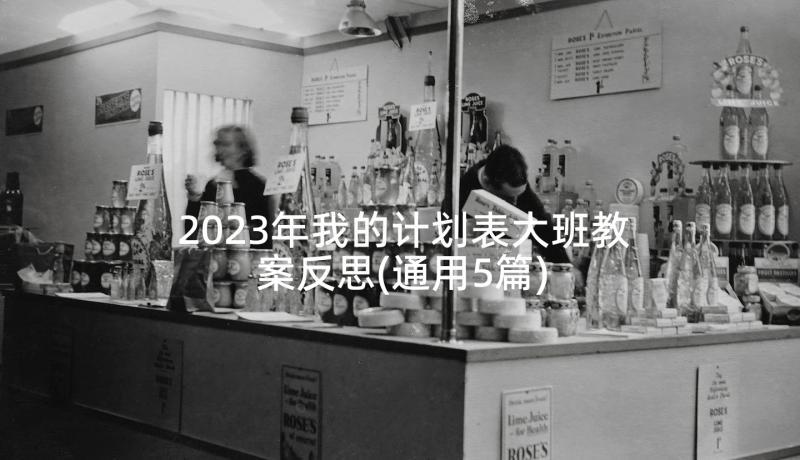 2023年我的计划表大班教案反思(通用5篇)