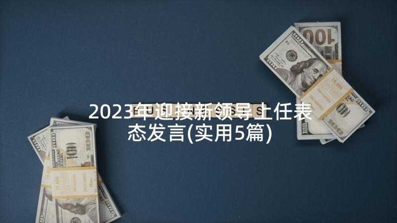 2023年迎接新领导上任表态发言(实用5篇)